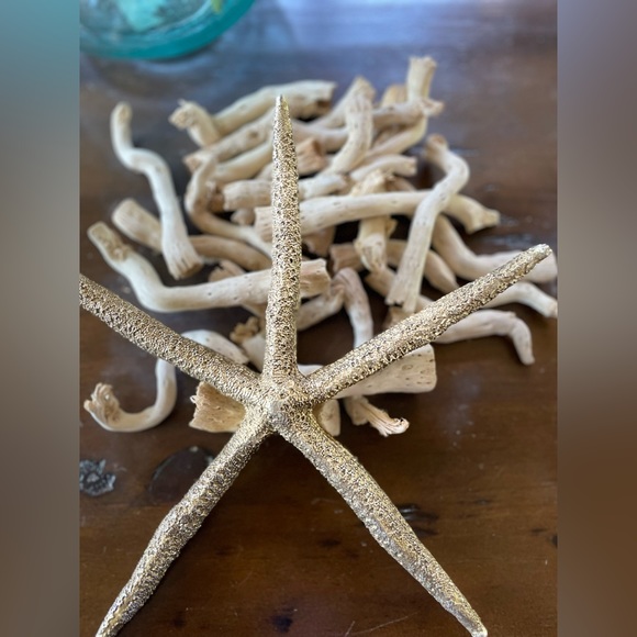 Pottery Barn drift wood vase filler - Picture 4 of 8